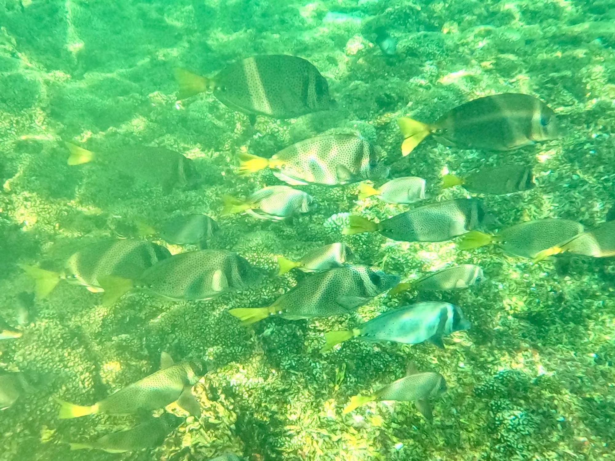 Agua Azul la Villa Santa Cruz Huatulco Kültér fotó